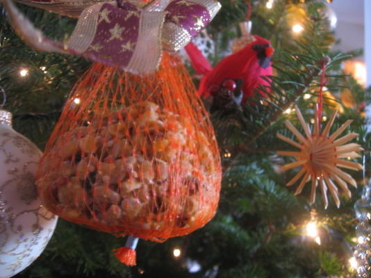 bolas de sebo para pássaros (para o natal)