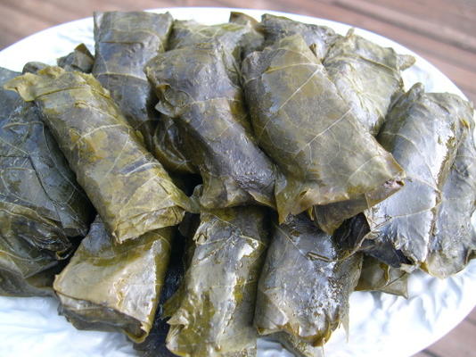 Dolmathes de Elaine (folhas de uva recheadas)