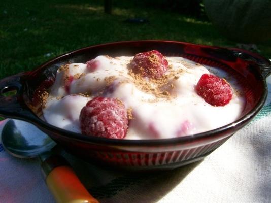 Delícia de iogurte de framboesa rápida e saudável