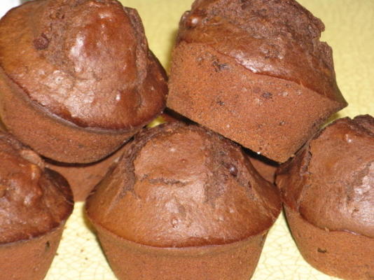 muffins de damasco de chocolate duplo