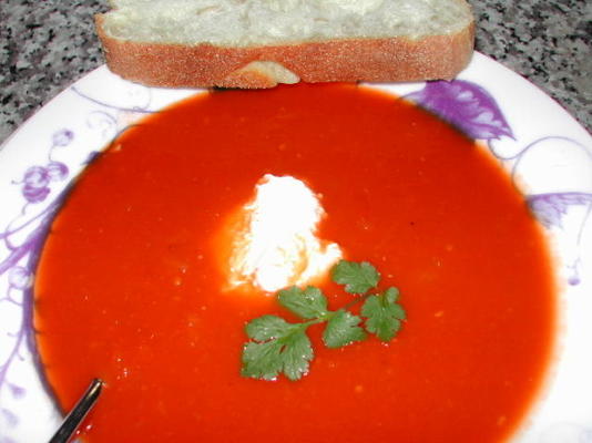 sopa de coentro de tomate