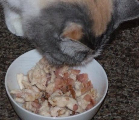 bacon e frango salteados para o seu gato