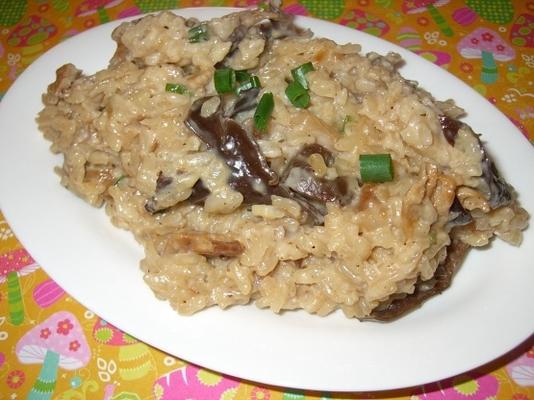 risoto com cogumelos selvagens secos