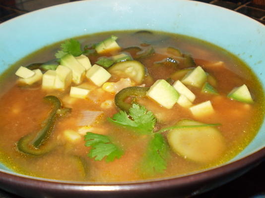 sopa de preço vincent poblano - poblano sopa de chile