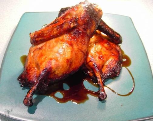 pato de romã
