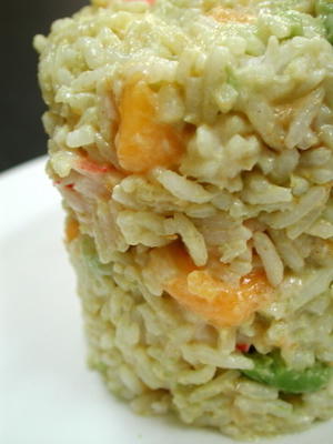 salada de camarão e arroz
