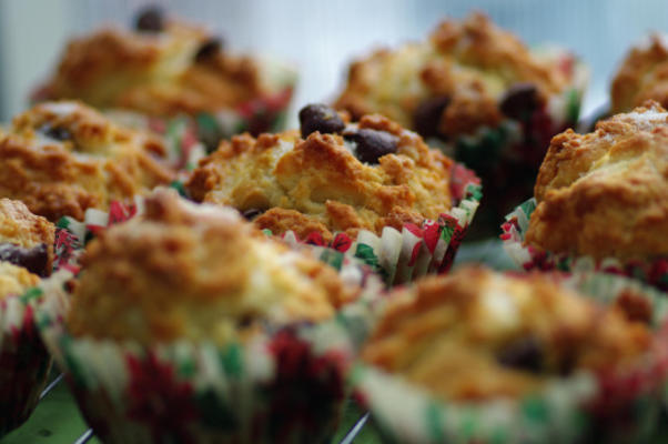 muffins de chocolate com laranja