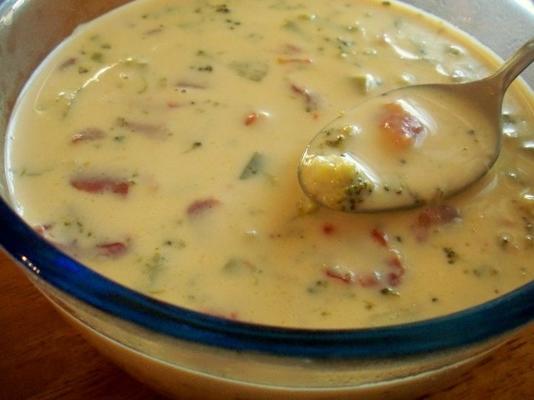 observadores do peso deliciosa sopa de queijo (fácil também)