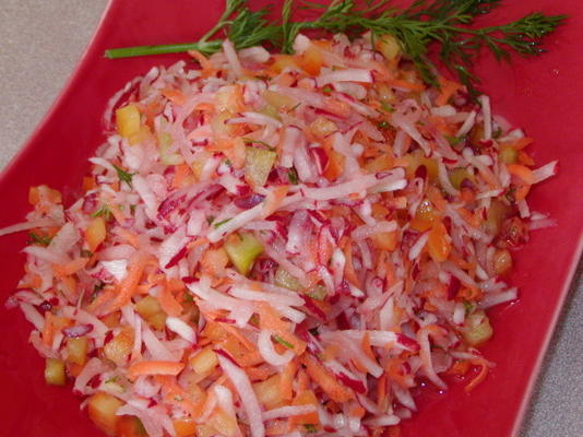 rabanete slaw-ny estilo