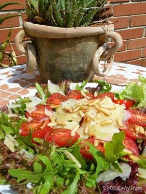 tomate, rúcula (rúcula) e salada de parmesão