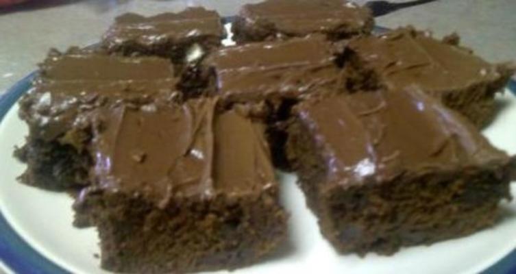 brownies de chocolate escuro farinha de coco fudge