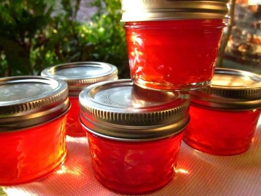 jalapeno cranberry jelly (geleia de natal)