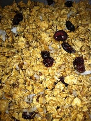 granola caseira sem nozes