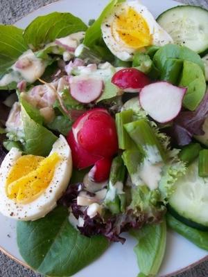 salada de primavera com molho de creme de soro de leite coalhado