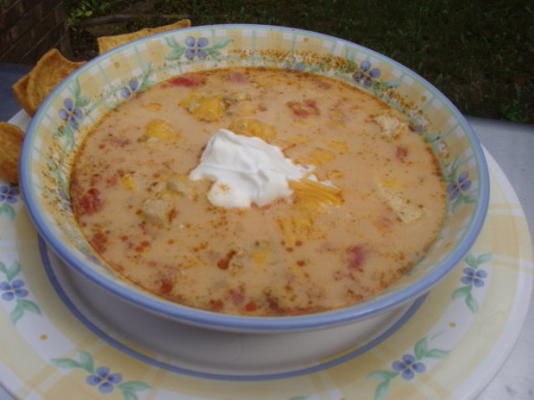 Sopa de Tacos de Frango