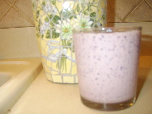 smoothie de iogurte de mirtilo