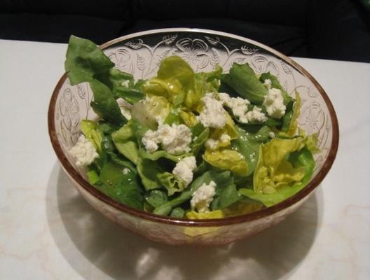 salada de limão inverno