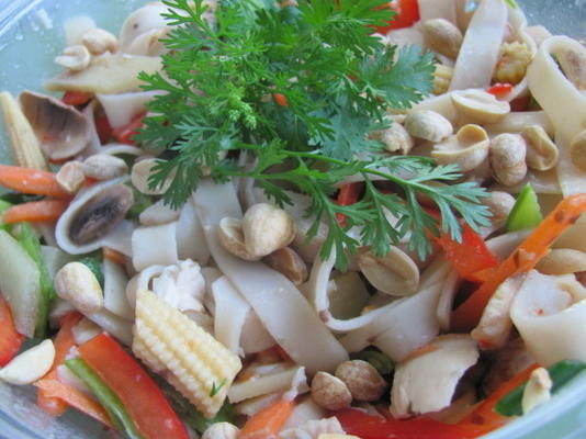 frango asiático, macarrão e salada de legumes