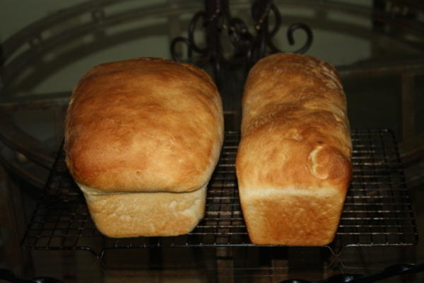 pão branco clássico
