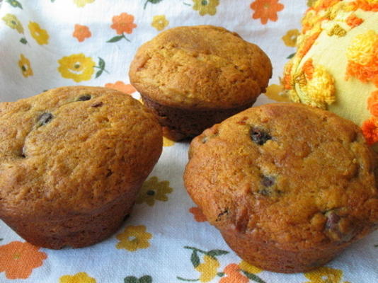 bolinhos de chocolate cobertos de abóbora