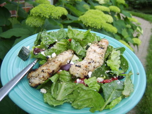 frango churrasco com salada grega