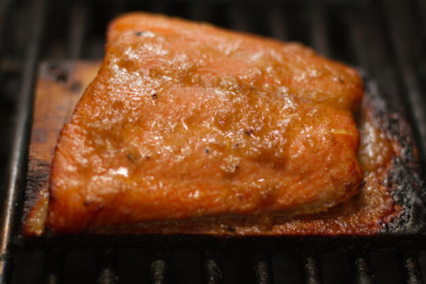 salmão de prancha de cedro com molho de gengibre
