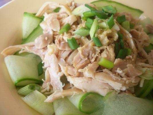 frango chinês e salada de pepino