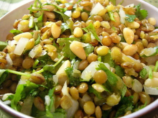 salada de lentilhas e coentros