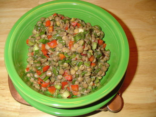 salada quente de lentilha com cebola, pimentão e espinafre