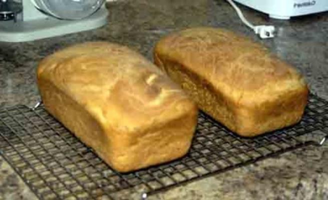 pão de trigo (2 pães)