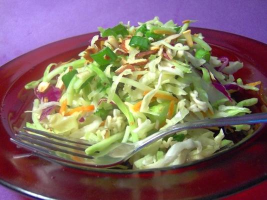 salada slaw oriental