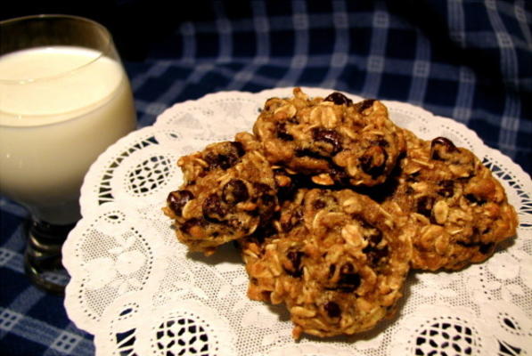 bolinhos de microplaqueta de chocolate gov aveia