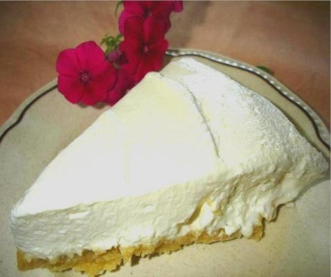 delicioso cheesecake de baixo carboidrato (não cozer)