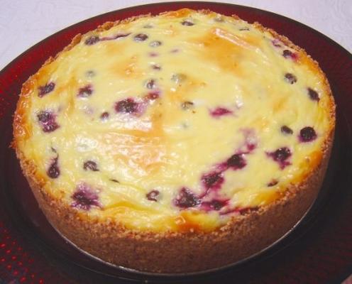 cheesecake de mirtilo com baixo teor de açúcar.