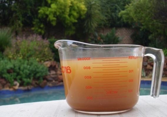 Verão sonhando caldo de legumes