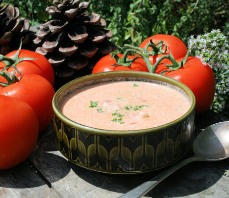 sopa de queijo creme de tomate / endro