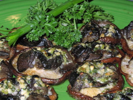 escargots aux champignons