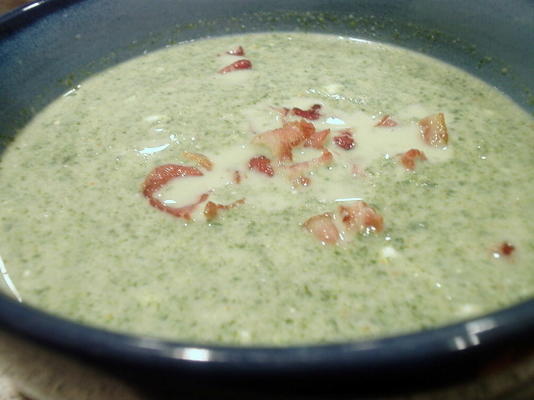 sopa de espinafre alcachofra