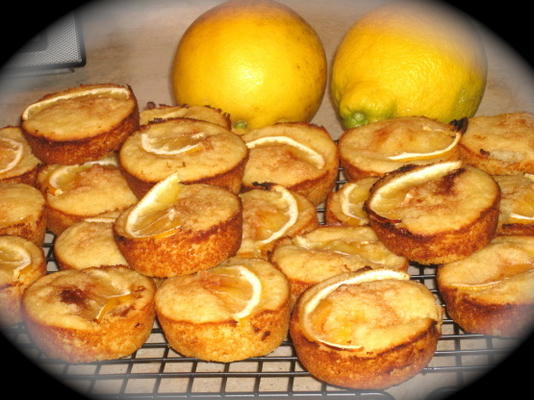muffins de limão meyer