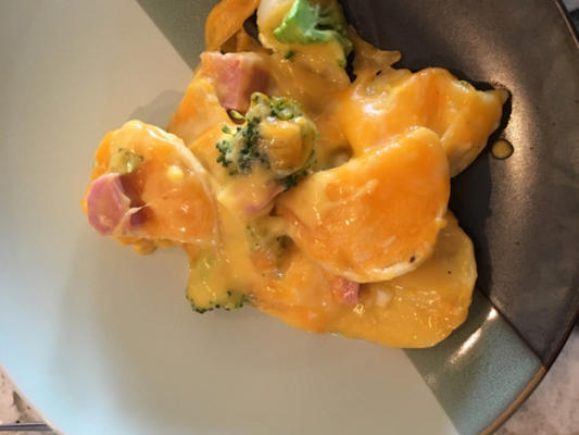 pierogie brócolis e presunto cozer