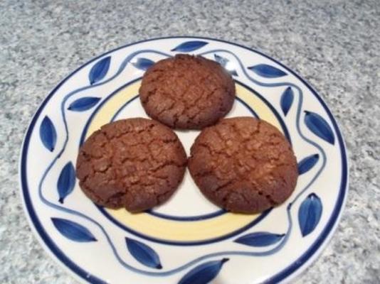biscoitos de chocolate simples