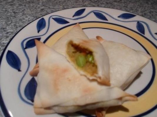 samosas vegetais picantes