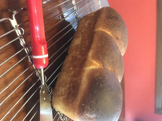pão sourdough crosta macia