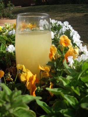 água de cevada refrescante de limão