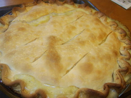 uma e única torta de frango