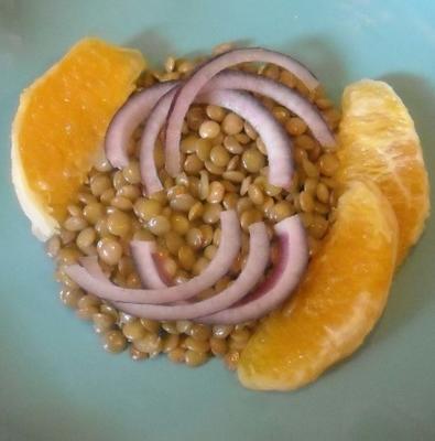 falsas saladas (salada de lentilhas)