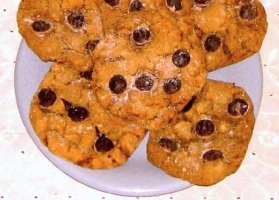 biscoitos de chocolate com gengibre