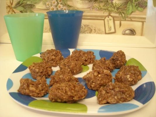 biscoitos de aveia de chocolate (sem coze)