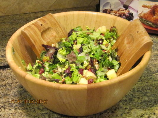 salada de maçã cranberry raisin