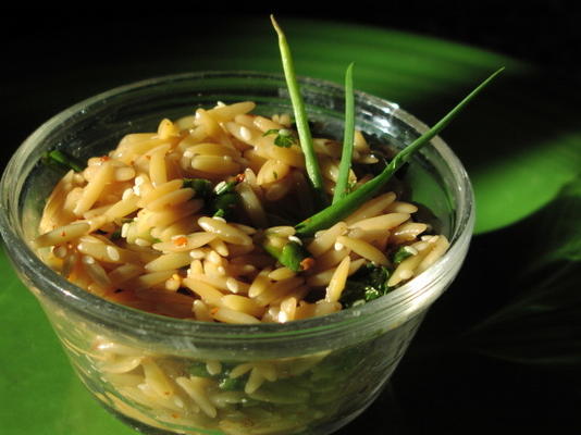 orzo oriental picante